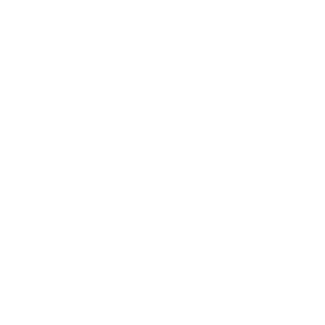 web designer zahid logo