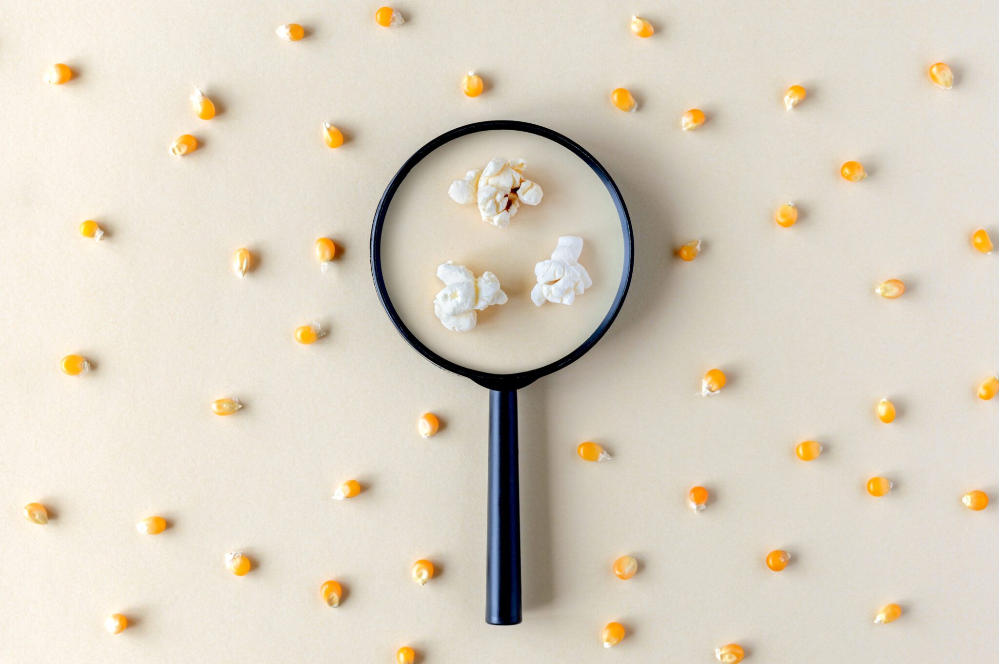 A pattern with corn and a magnifying glass through which popcorn can be seen.