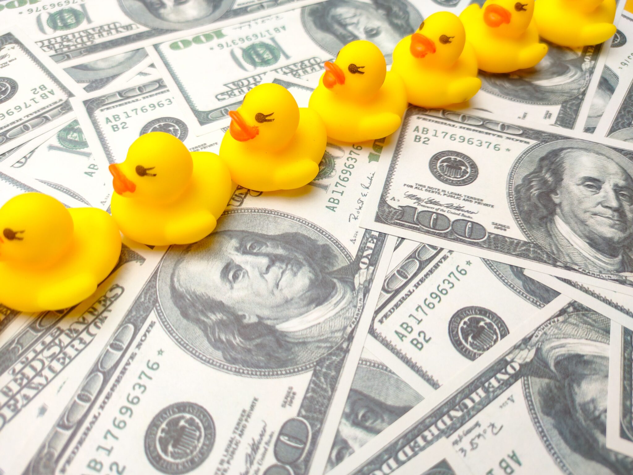 Yellow rubber ducks on a pile of money of hundred dollar bills
